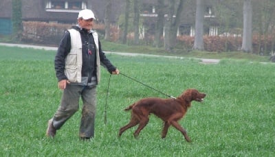 Du bois de balisy - Belphegor : CQN au field d'Ypreville