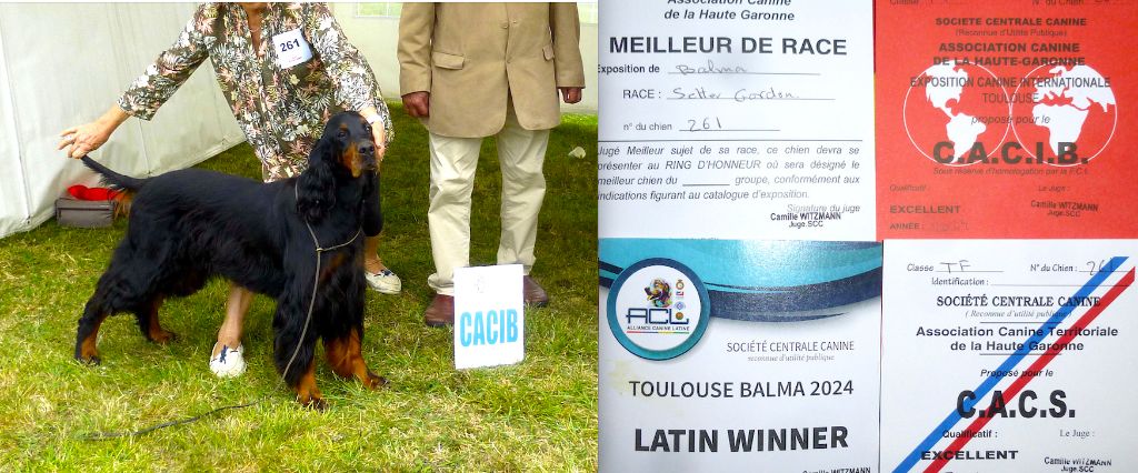 Des Pralines D'Aubejoux - Trialer Souinet remporte CACS CACIB BOB à Balma CTF