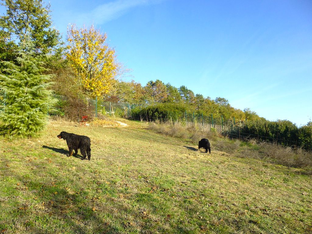 Des Pralines D'Aubejoux - Lella et Linel  : douceur en automne