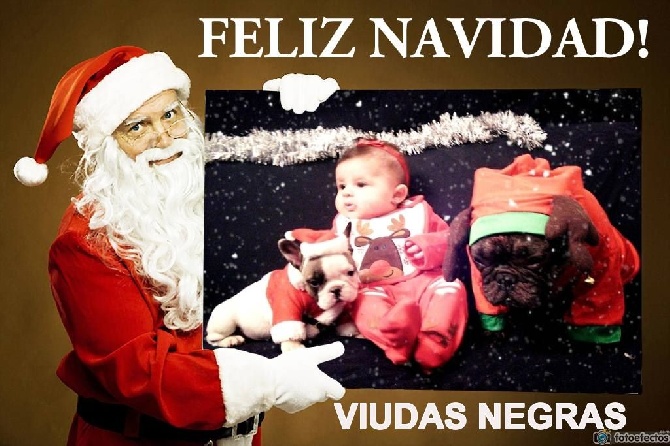 De Las Viudas Negras - JOYEUSES FÊTES