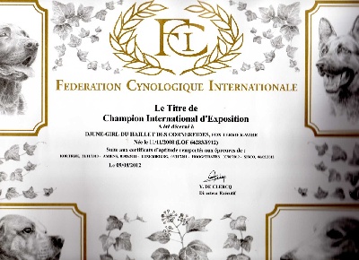 Des Etoiles D'island - DJUNE  ( CH IE )CHAMPIONNE INTERNATIONALE d' EXPOSITION