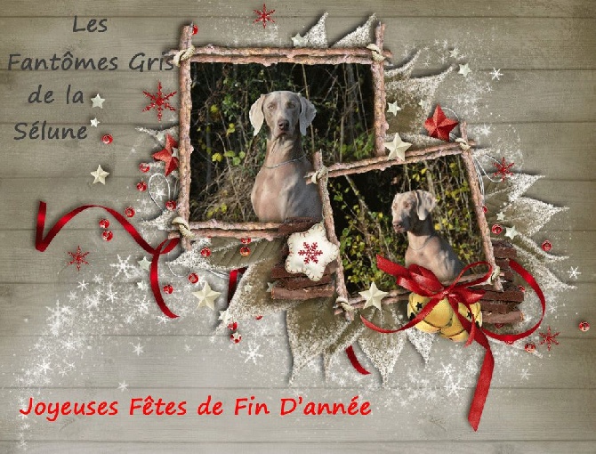 Des Fantômes Gris De La Sélune - Joyeuses fêtes de fin d'année !!