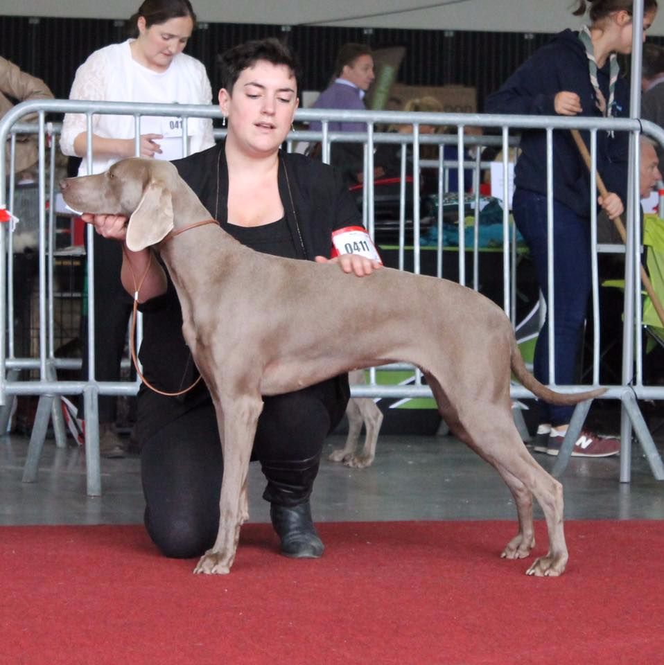 Des Fantômes Gris De La Sélune - Massey devient Wallonia Winner