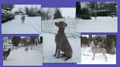 Des Fantômes Gris De La Sélune - Les filles dans la neige