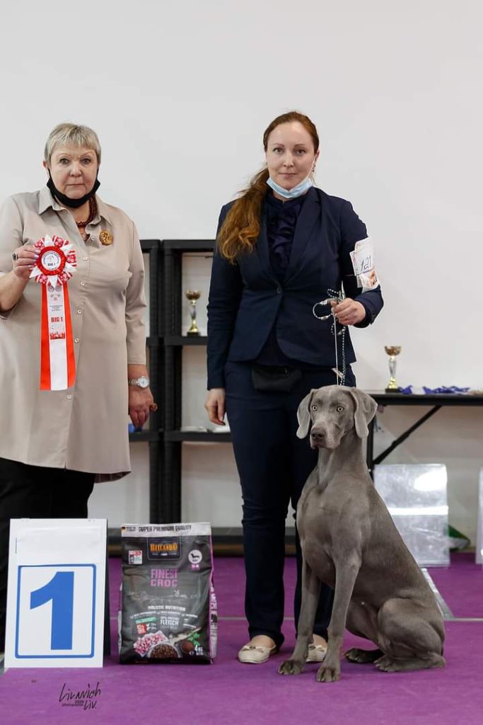 Des Fantômes Gris De La Sélune - Regatta devient Jeune championne !!