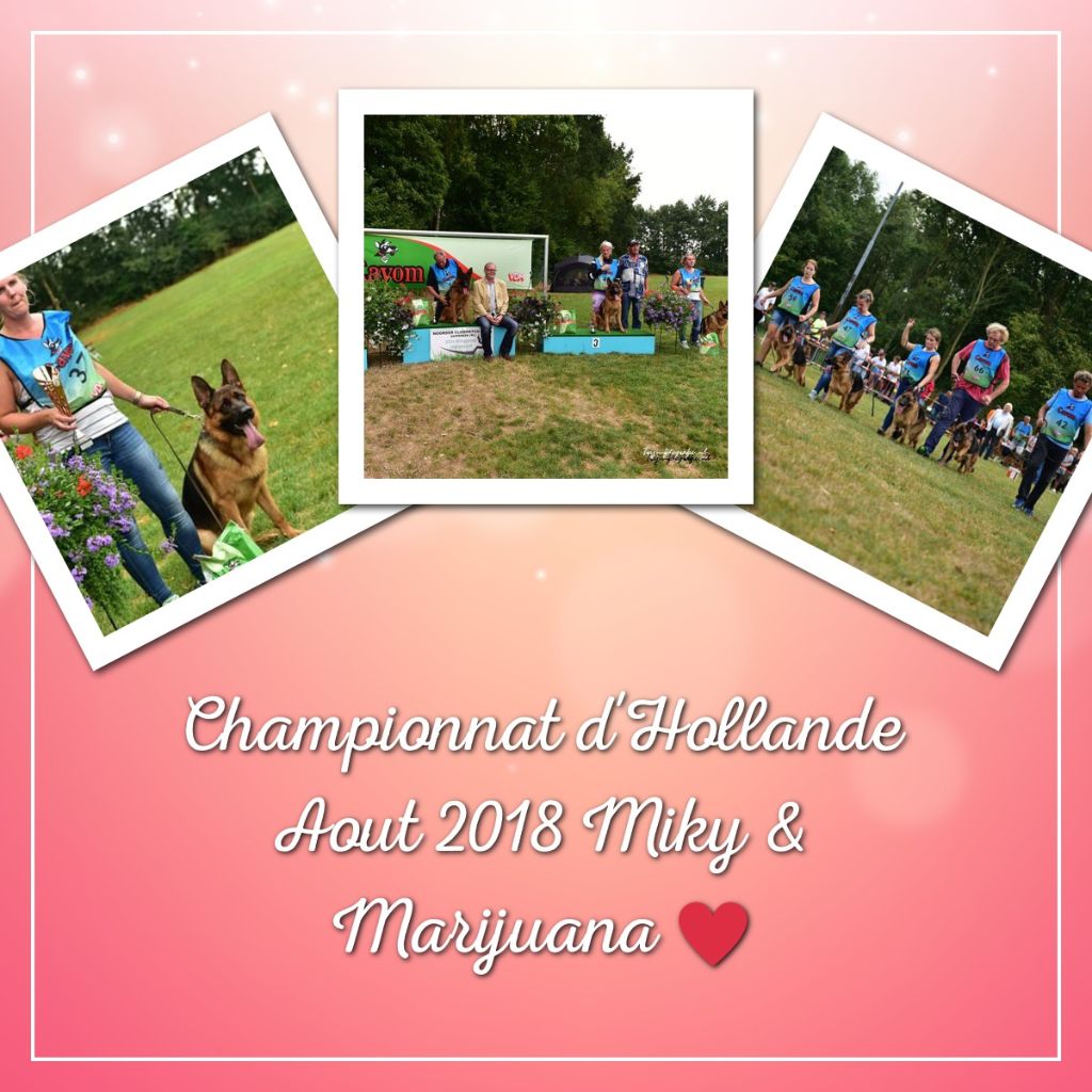 du clos de la gloriette - 08-08-2018 Championnat de Hollande 