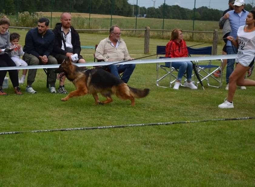 du clos de la gloriette - WE du 21 au 23 juillet Championnat de Belgique et Epaignes (27)