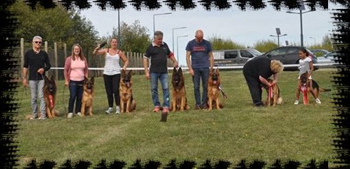 du clos de la gloriette - 16/09/2018 Exposition CACS CACIB de Compiègne