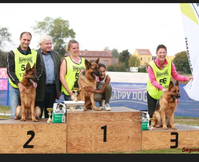 du clos de la gloriette - 30/09/2018 Rijkevorsel 2 podiums