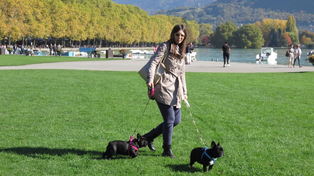 Du Rêve D'Emeraude - Nuit Féerique et Ninja King, à Annecy.