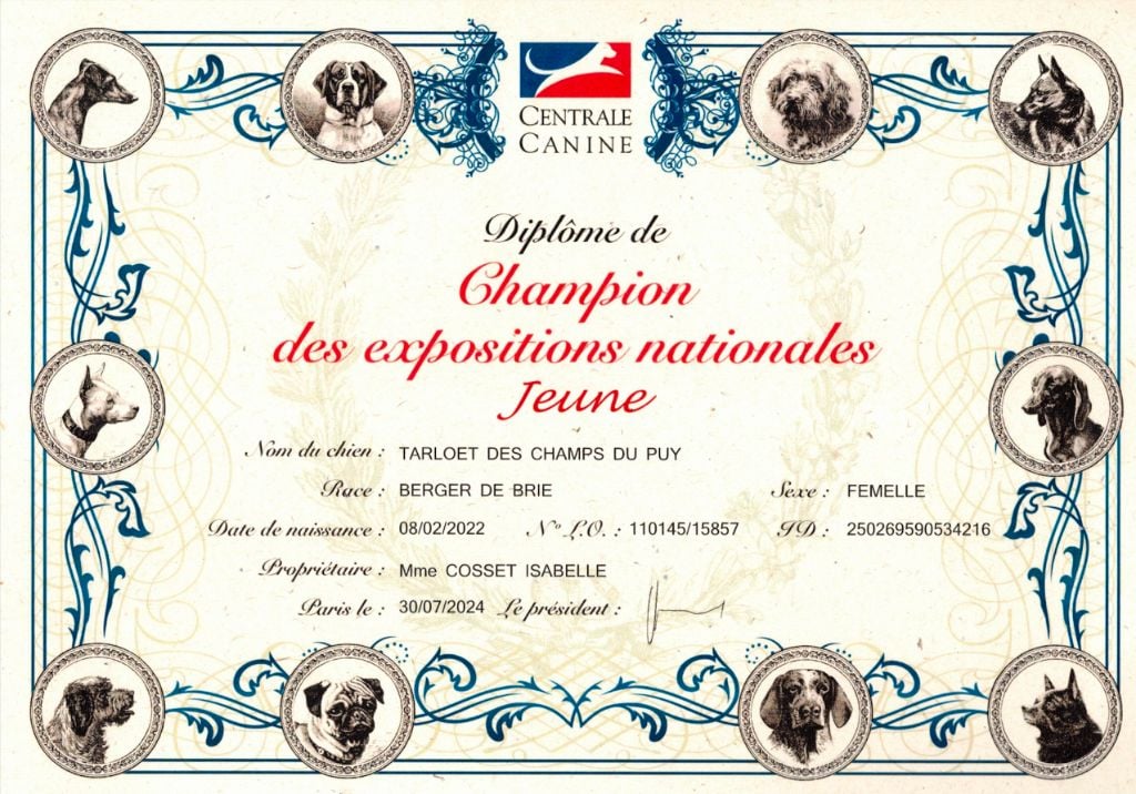 des champs du puy - Tarloët  ; champion des expositions nationales jeune