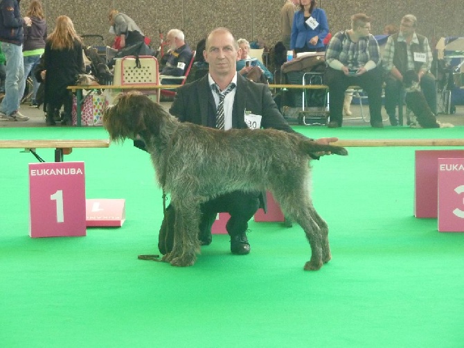 De La Marne Au Bois - HUGO BOSS champion international de beauté