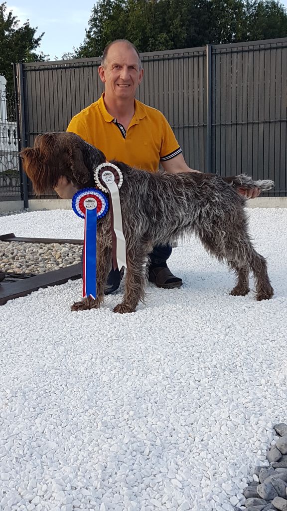 De La Marne Au Bois - NINA BELLA remporte le challenge des plaines sucrières 