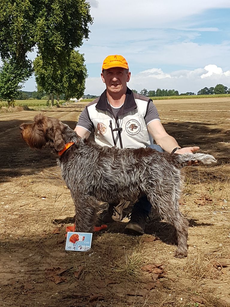 De La Marne Au Bois - Nina Bella CACT en gibier naturel