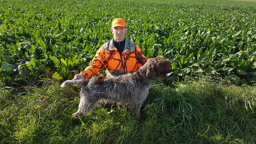 De La Marne Au Bois - Nina Bella  championne départemental des rencontres st Hubert 2019