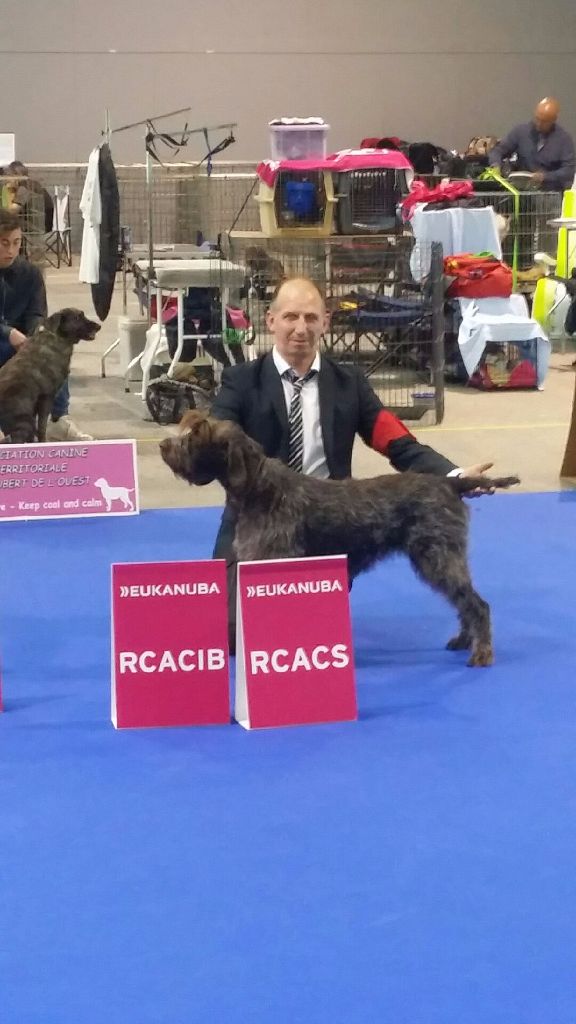 De La Marne Au Bois - Jadounette vice championne de FRANCE 2017