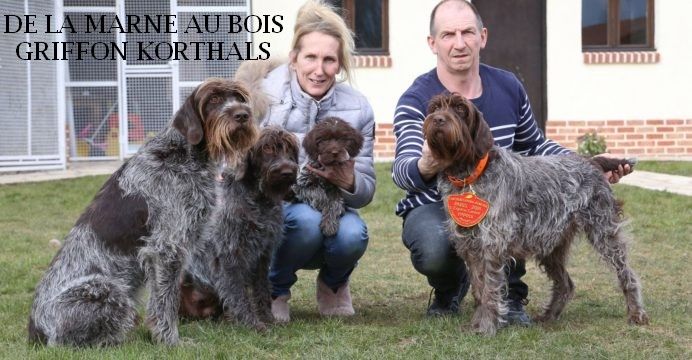 De La Marne Au Bois - Ines médaille d'or au salon de l'agriculture