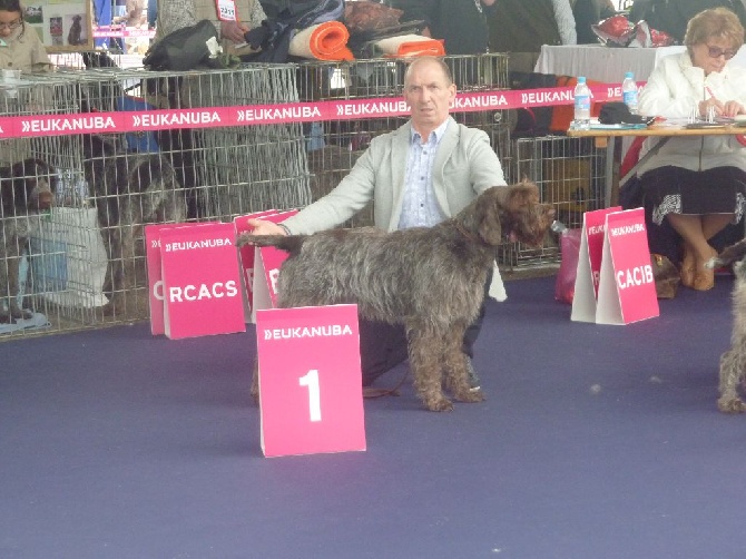 De La Marne Au Bois - vice championne de france 2016