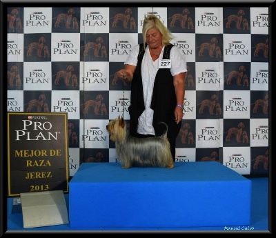 of Silky's Paradise - CAC JEREZ de la FRONTERA (SP) 02.11: BOB