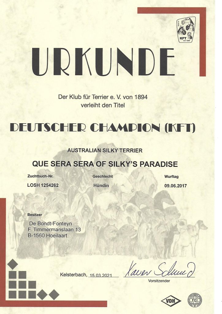 of Silky's Paradise - QUE SERA SERA: CERTIF D (KFT) CHAMPION