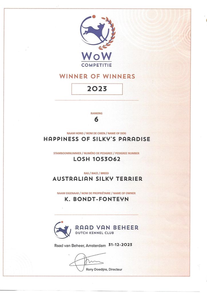 HAPPINESS: CERTIFICATE WINNER OF WINNER (NL) 2023