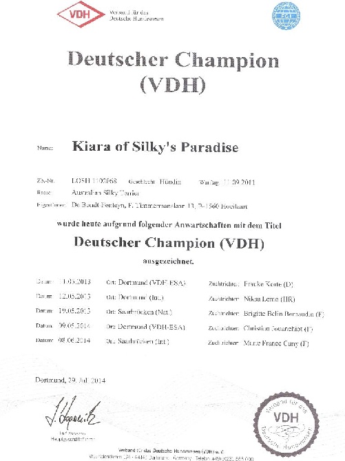 of Silky's Paradise - KIARA: CONF CH D (VDH)