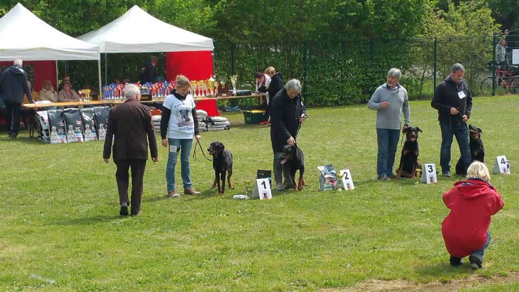 Des Veilleurs De Saint Michel - Nationale du Beauceron en Beauce!!!