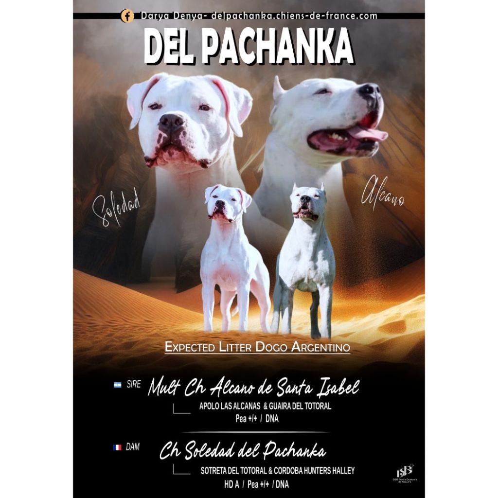 del Pachanka - Mariage unique en France et rare en Europe