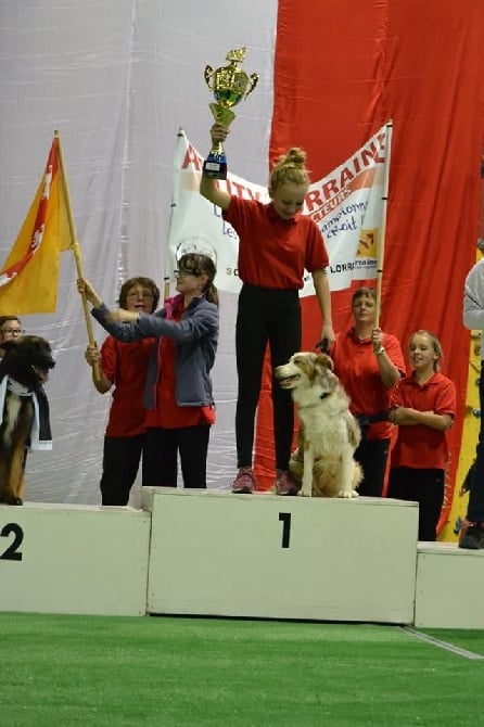 GIRL'S LITTLE COWBOY CHAMPIONNE DE FRANCE 2016 D'AGILITY 