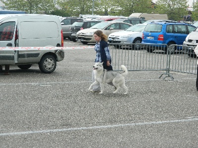 Of Artic West Wind - expo d'Agen