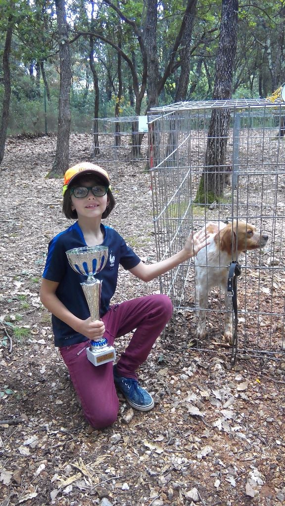 Chipounette Du Bois Saint Gely -  concours de chien d'arrêt de st Gely du fesc.