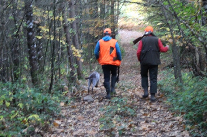 des Gorges de la Luzège - Ils s'en allaient en pères peinards.....