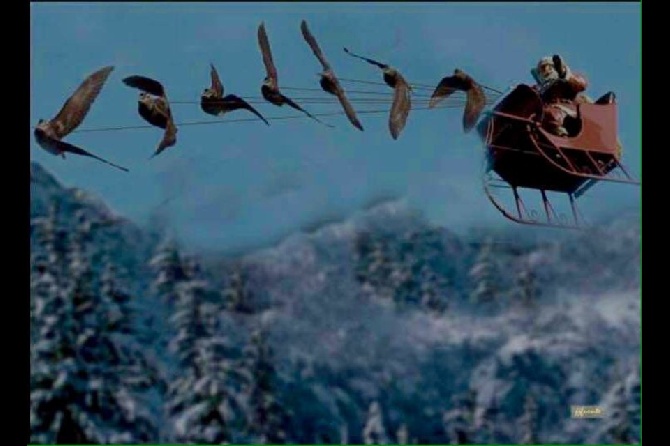 des Gorges de la Luzège - A l'année prochaine Pere NOEL 