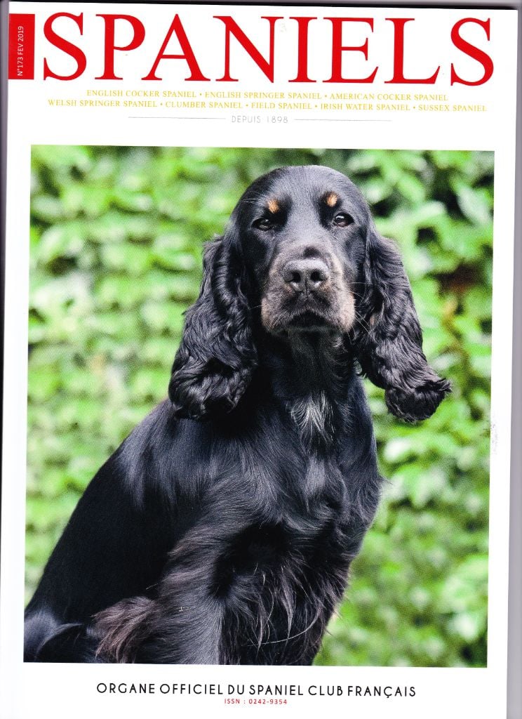 Organe officiel du Spaniel Club Français