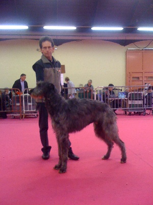 of bestmara - Expo internationale de Valence, BOB.