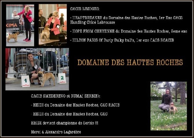 Du Domaine Des Hautes Roches - Un grand week end d'exposition !!!!!