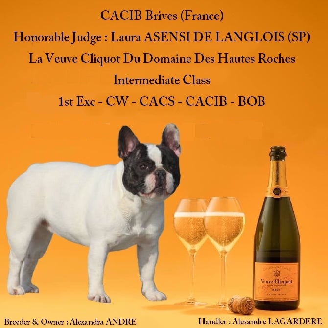 Du Domaine Des Hautes Roches - La veuve Cliquot de retour sur les rings ;)