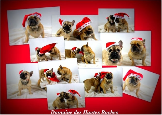 Du Domaine Des Hautes Roches - Joyeux noël !!!