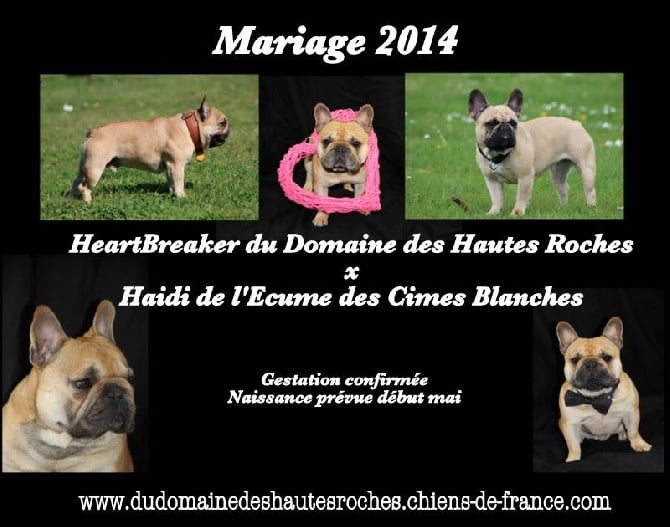 Du Domaine Des Hautes Roches - Mariage 2014