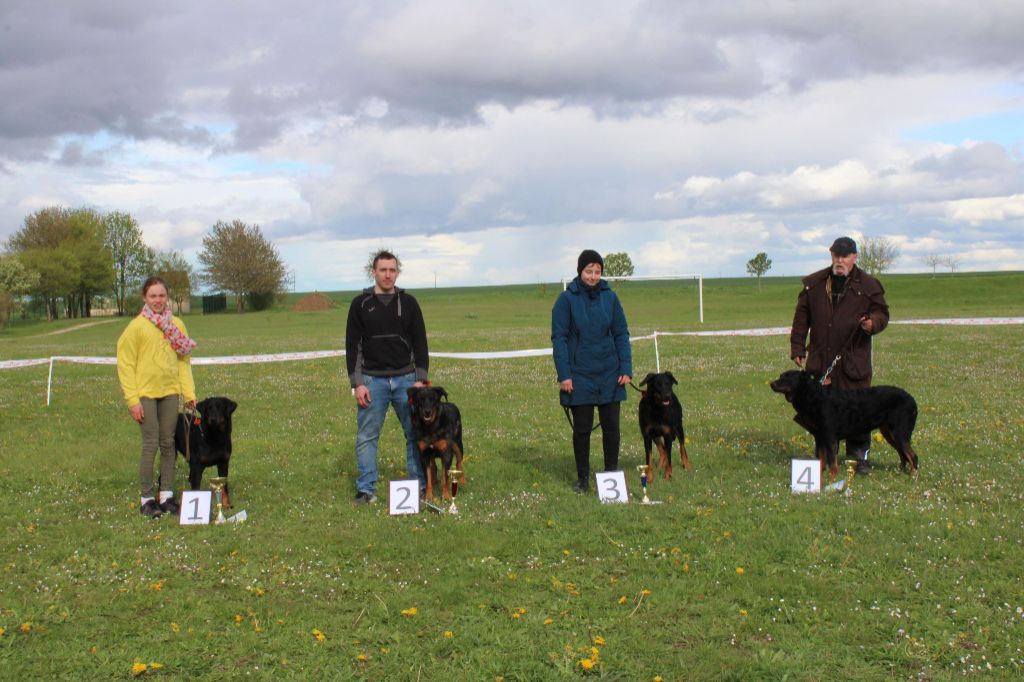 Du Quartier De Thiou - Journée  beauceronne  d'Amponville 