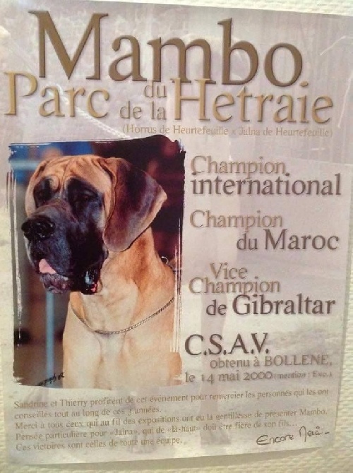 Multi-CH MAMBO du parc de la Hetraîe