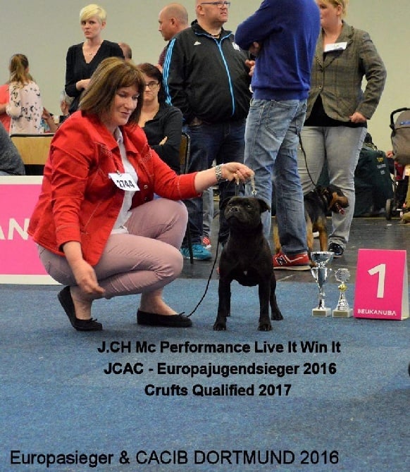 Mc performance - CACIB EUROPASIEGER DORTMUND