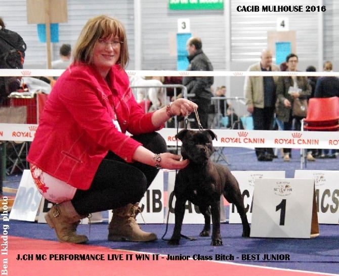 Mc performance - CAC & CACIB MULHOUSE