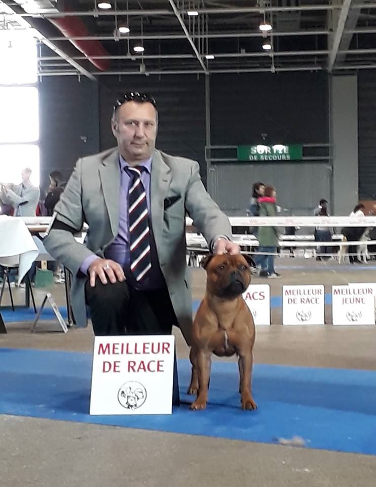 Mc performance - CAC CACIB METZ 2018 SPECIALE DE RACE 