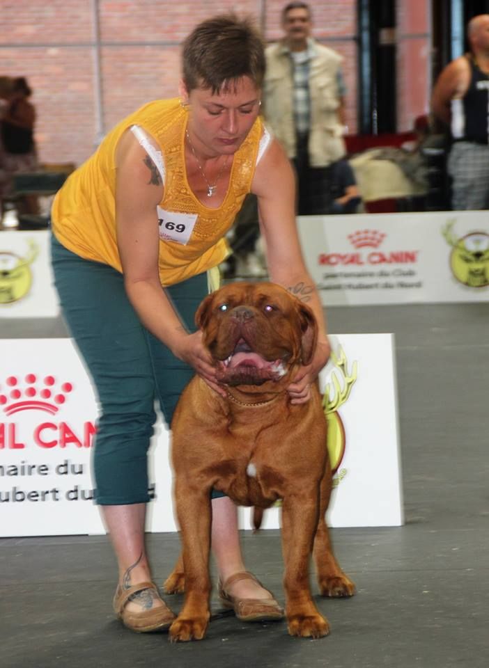 CACIB DUNKERQUE2018