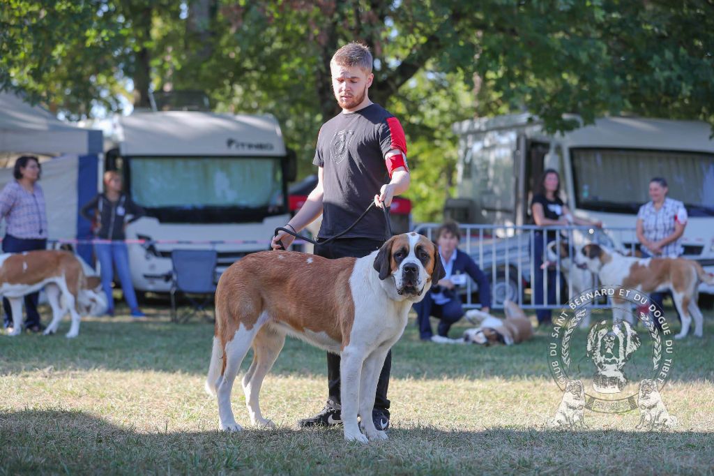 4 Excellents à la NE Saint Bernard