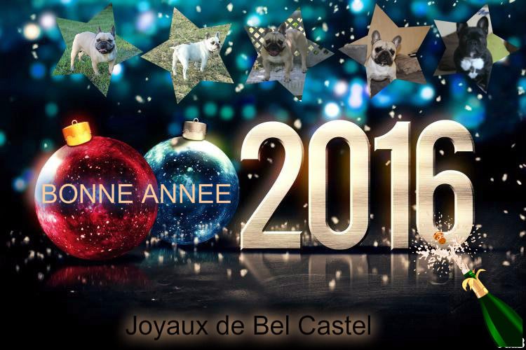 Des Joyaux De Bel Castel - Bonne année!