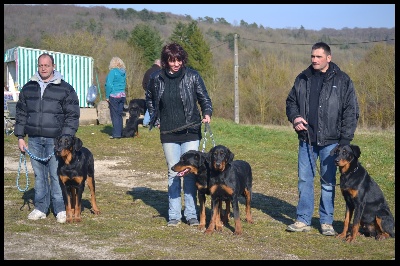 De La Terre Des Lions - Journée Beauceronne de Viterne