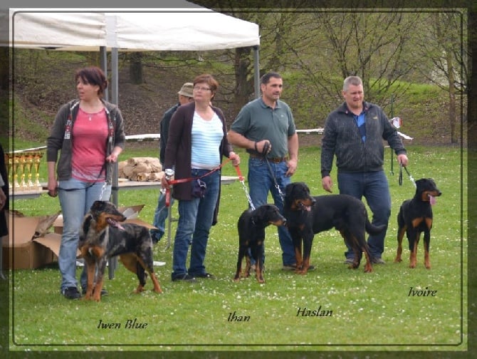 De La Terre Des Lions - Journée Beauceronne et Régionale a Cergy