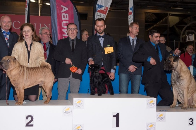 At Future Look - Hitch remporte le Concours Général Agricole